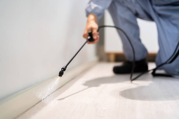 Licensed Termite Control service in Union City, OH - Nex Pest Control