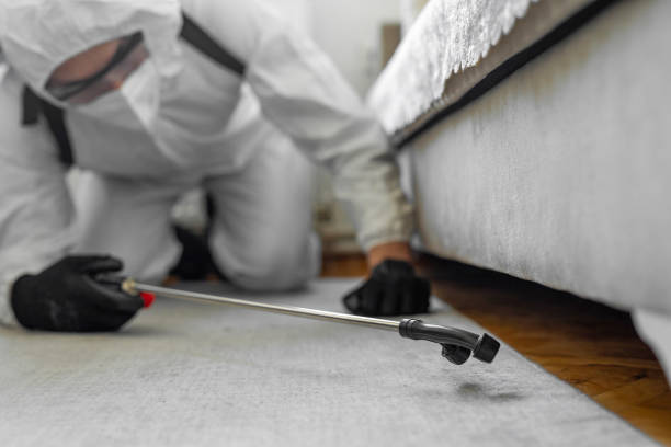 Professional Termite Control technician working in Union City, OH