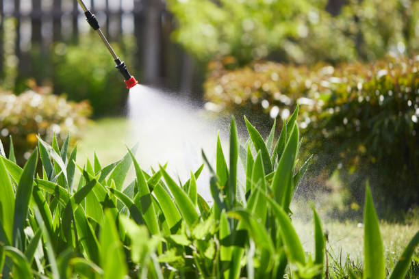 24/7 Emergency Termite Control experts in Union City, OH