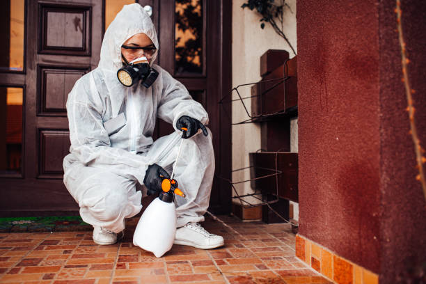 Reliable Termite Control contractor in Union City, OH by Nex Pest Control