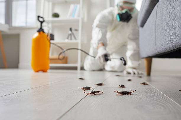 Trusted Termite Control service in Union City, OH - Nex Pest Control